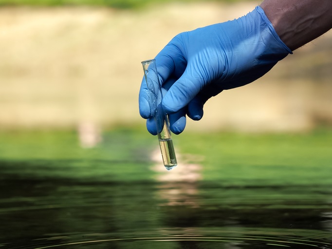 Estudo indica que peixes podem se viciar em drogas presentes nas águas - 2