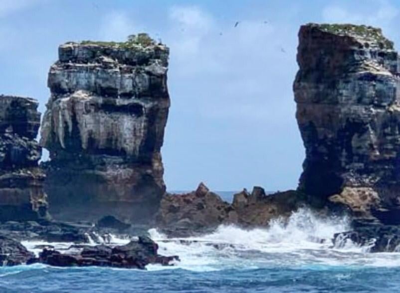Famoso Arco de Darwin desmorona nas Ilhas Galápagos - 1