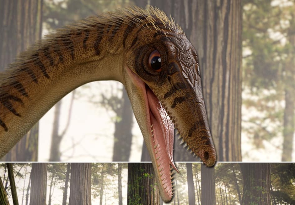 Fóssil do mais antigo parente do Tiranossauro rex é encontrado no sul do Brasil - 1