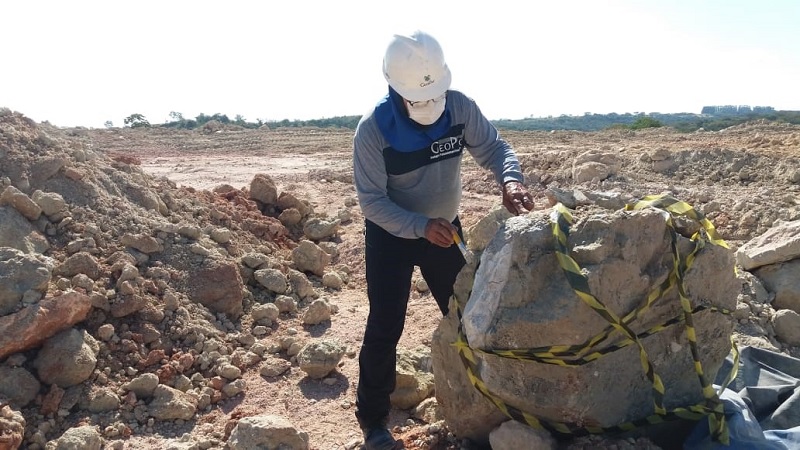 Fósseis de dinossauros são encontrados às margens de rodovia em Minas Gerais - 1