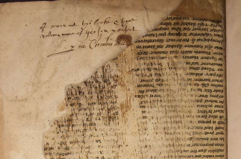 Descoberta de textos mais antigos sobre o Mago Merlin surpreende pesquisadores - 1