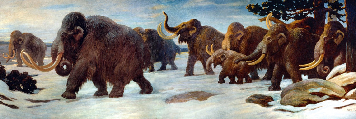Startup pretende trazer mamutes de volta à vida daqui a seis anos - 1