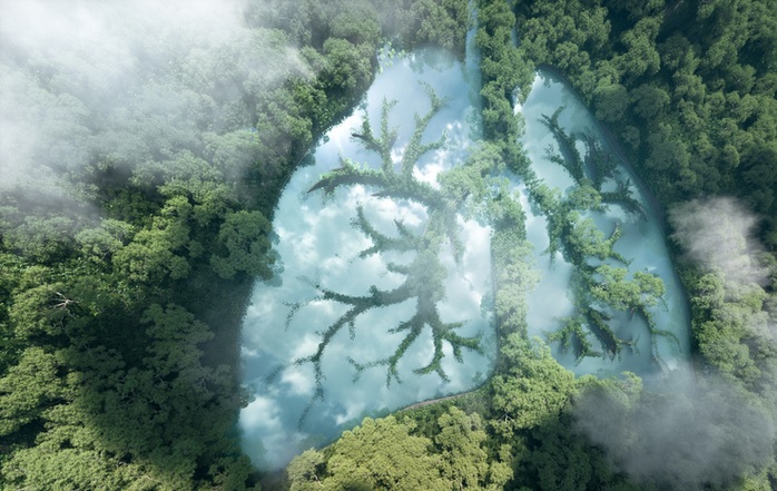 Nem do oceano, nem da Amazônia: de onde vem o oxigênio que respiramos? - 1
