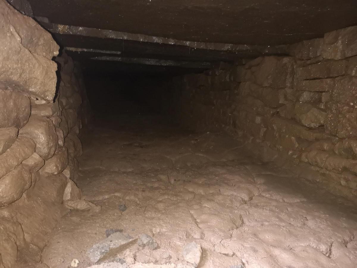 Túnel medieval secreto é encontrado por acidente no País de Gales - 1
