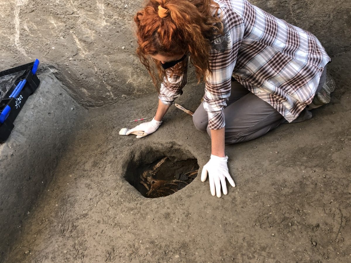 Encontrados restos mortais de mestre e escravo que morreram juntos em Pompeia - 1